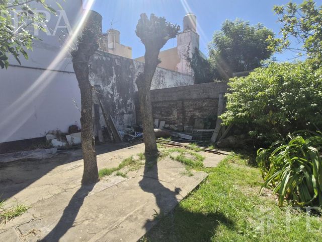 place photo 35