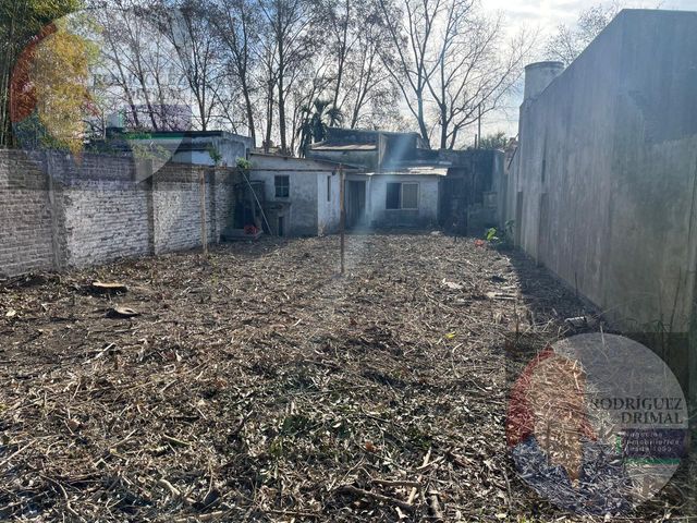 place photo 12