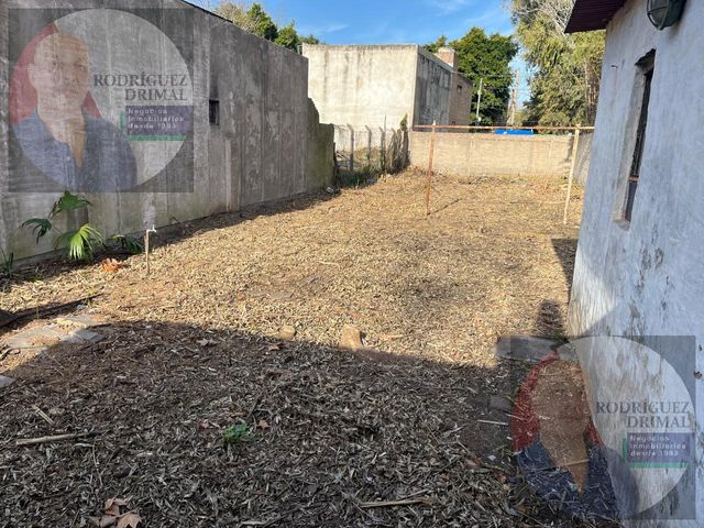 place photo 7