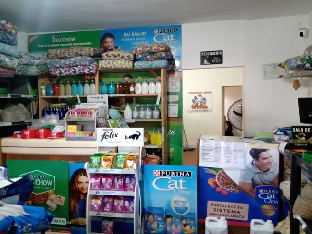 place photo 25