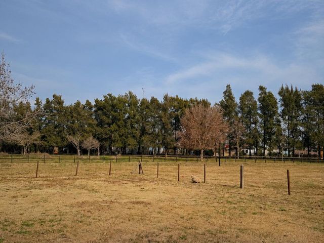 place photo 24