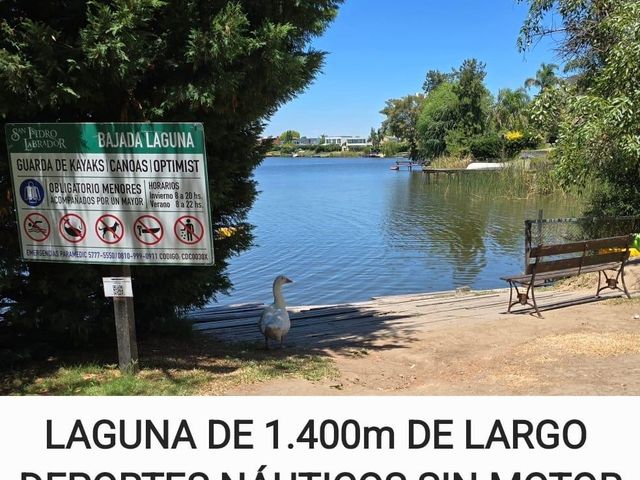 place photo 42