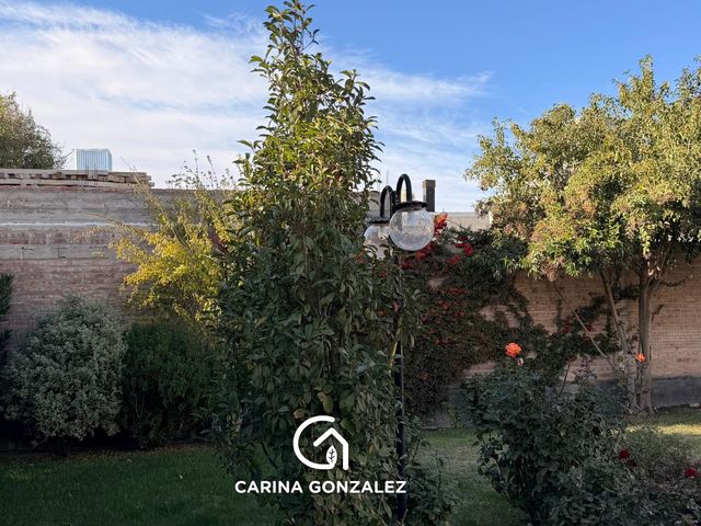 place photo 38
