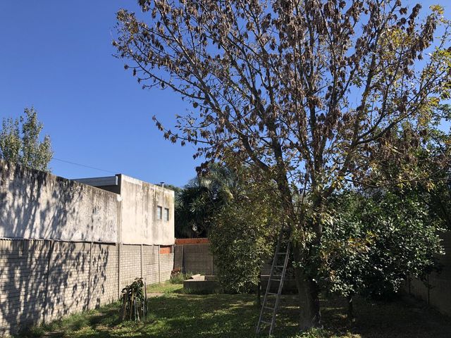 place photo 29