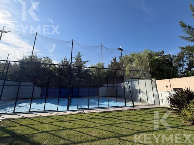 place photo 44