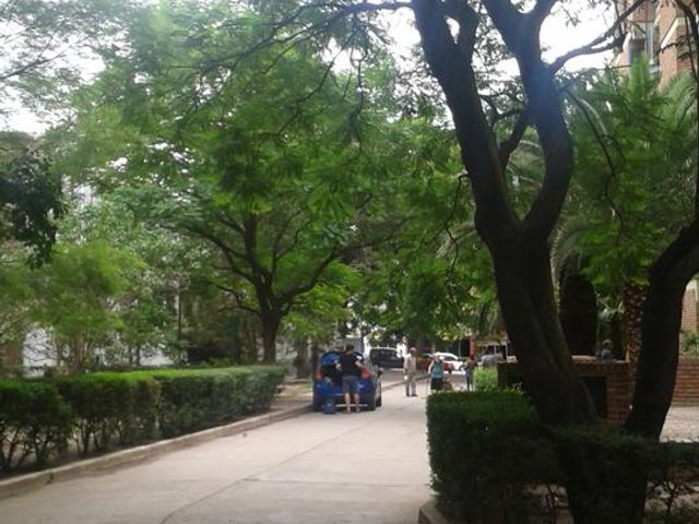 place photo 30