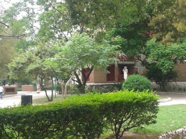 place photo 35