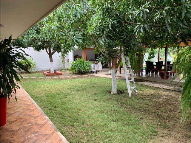 place photo 33