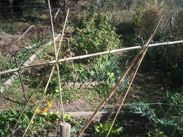 place photo 31