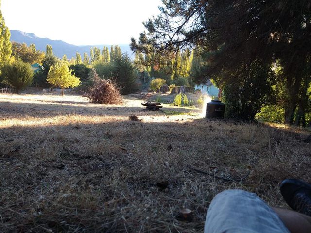 place photo 17