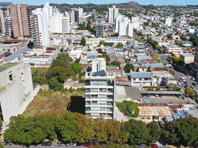 place photo 42