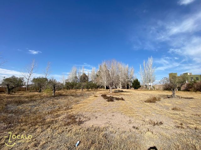 place photo 30