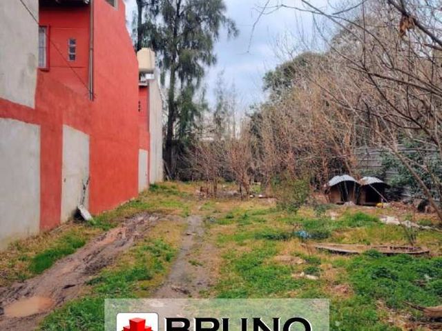 place photo 22