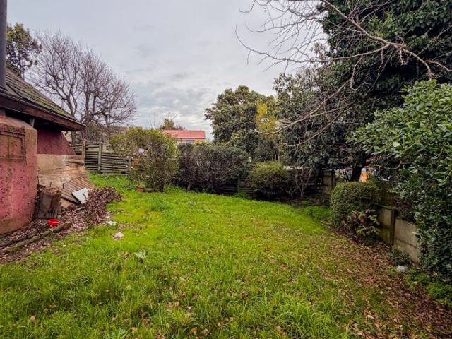 place photo 26