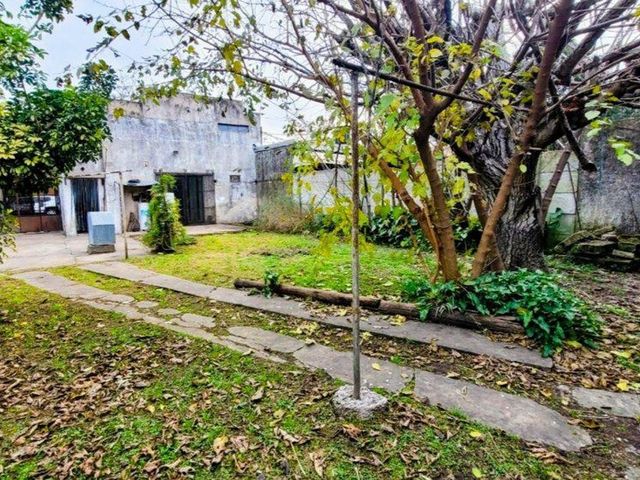 place photo 18