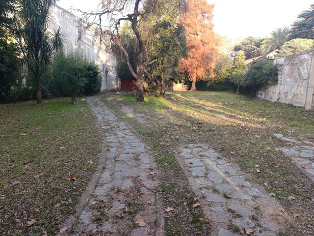 place photo 38
