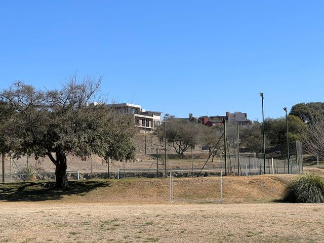 place photo 43
