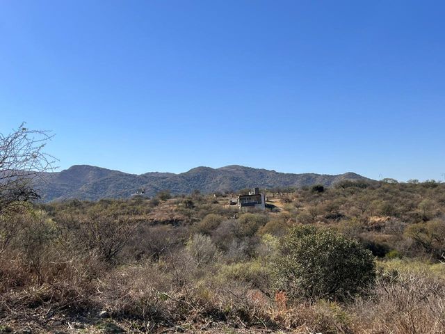 place photo 42