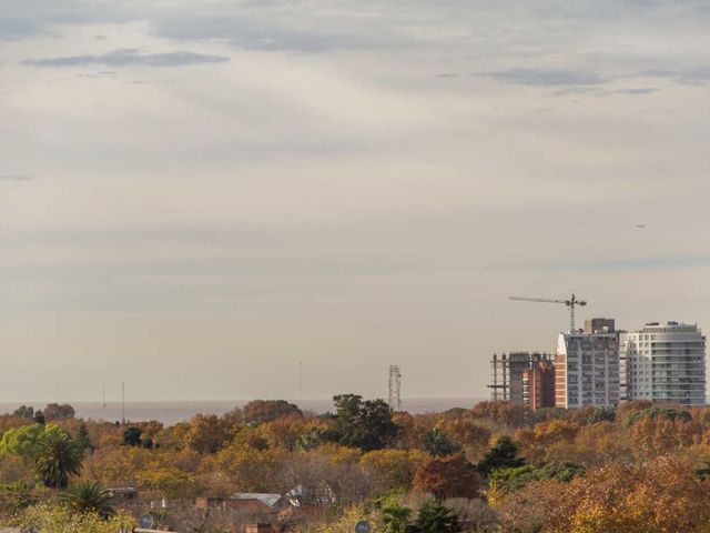 place photo 66