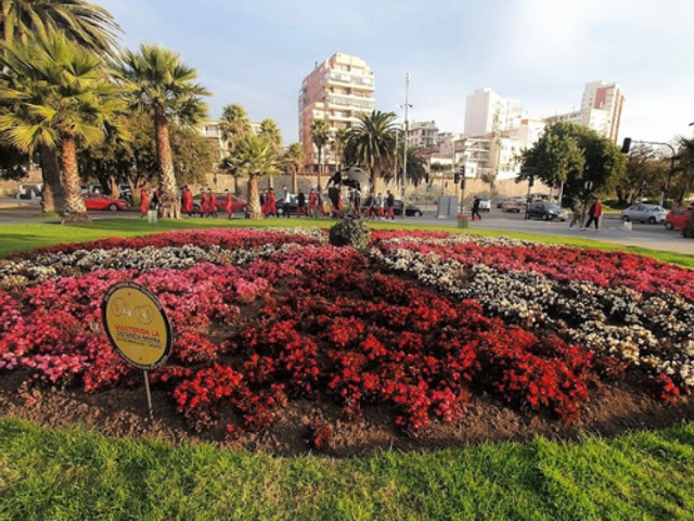 place photo 20