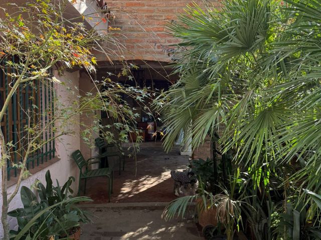place photo 31