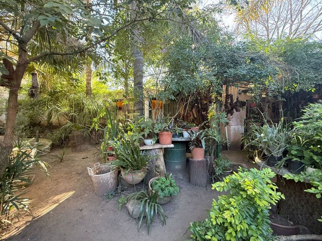 place photo 36