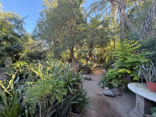 place photo 34