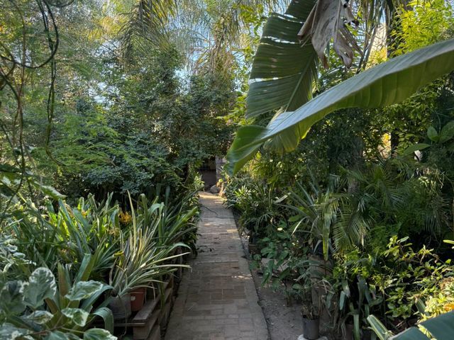 place photo 37