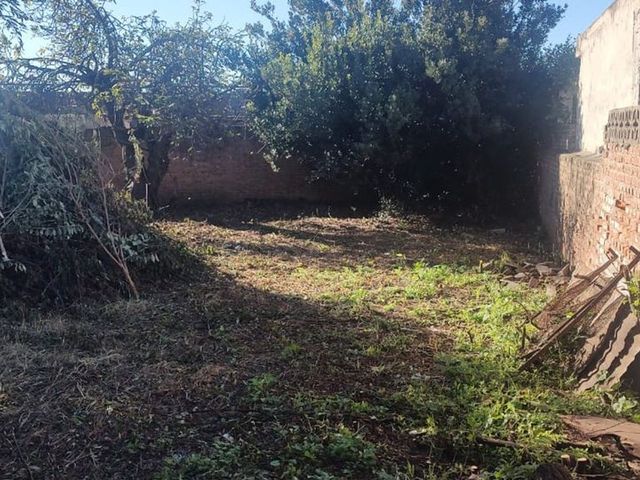 place photo 26