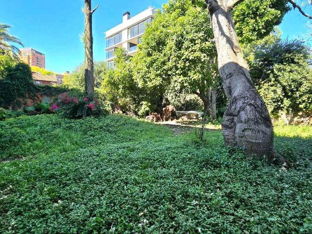 place photo 26