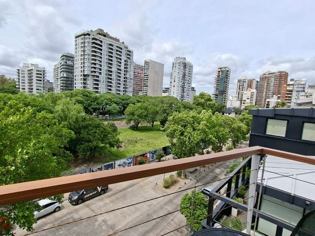 place photo 26