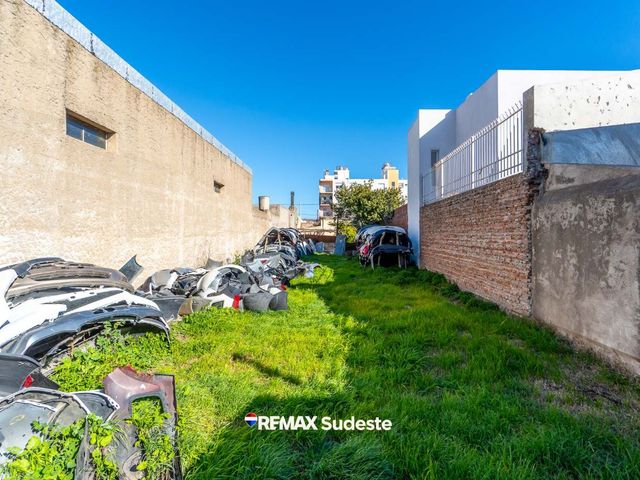 place photo 25