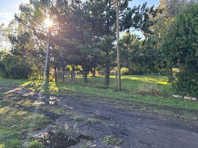 place photo 35