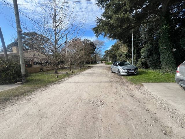 place photo 23