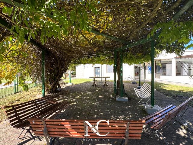 place photo 36