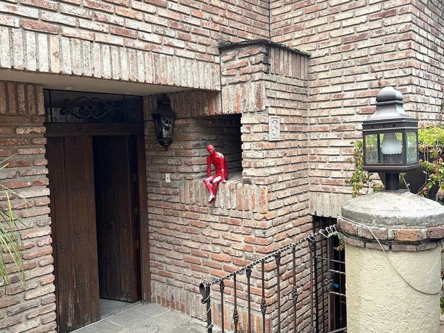 place photo 40
