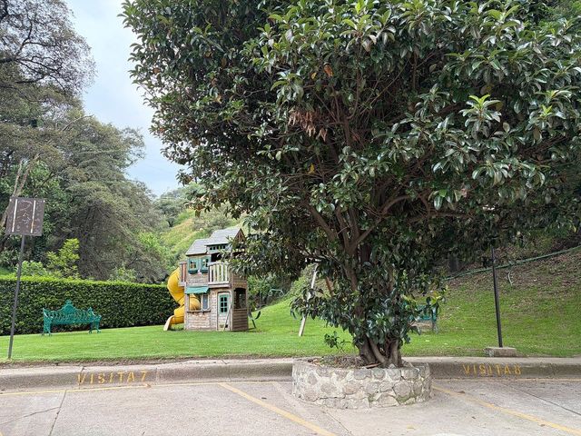place photo 32