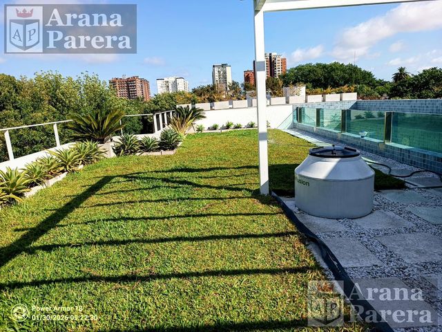 place photo 34