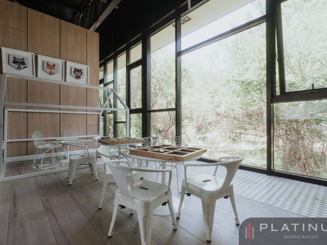 place photo 39