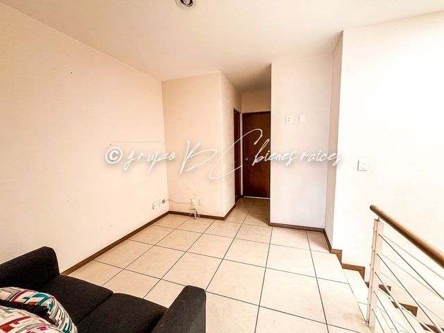 place photo 46