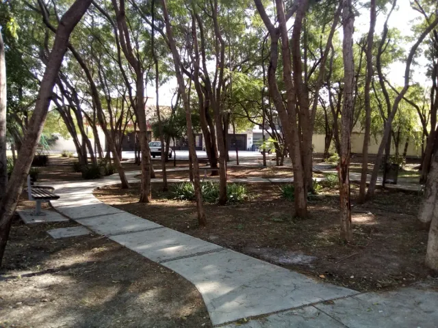 place photo 12