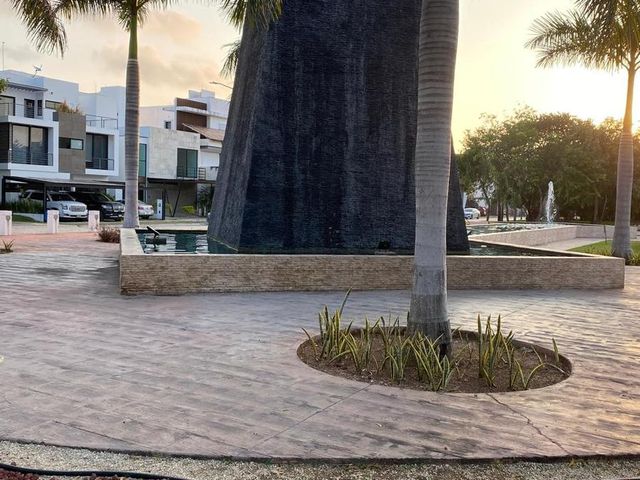 place photo 26