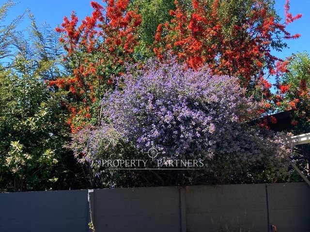 place photo 31