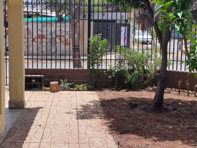 place photo 20