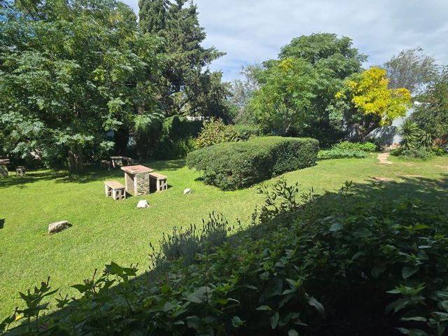 place photo 50