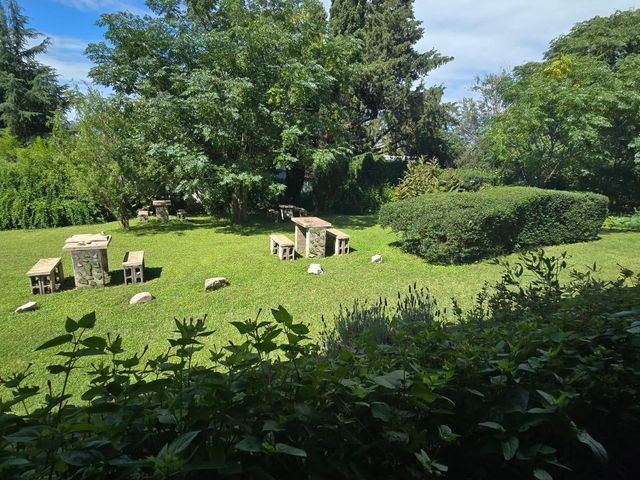 place photo 29