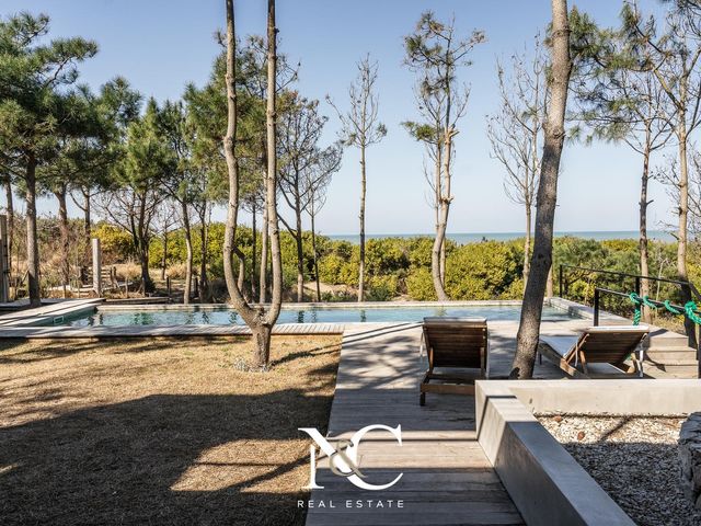 place photo 46