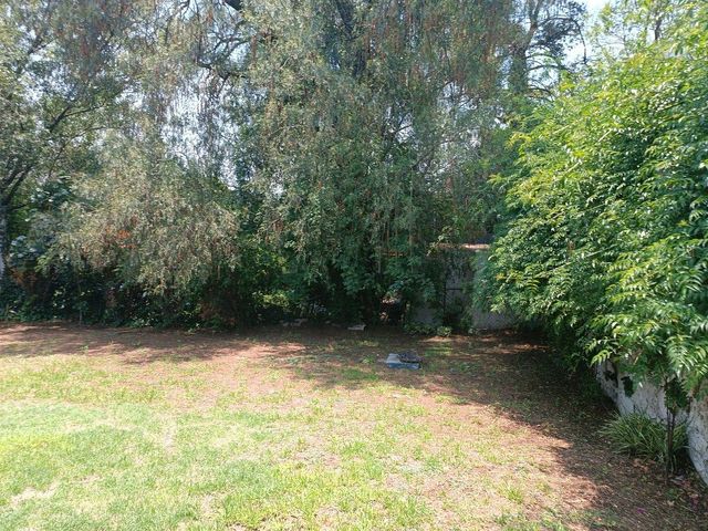 place photo 44