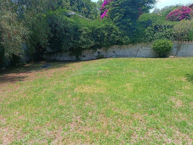 place photo 40