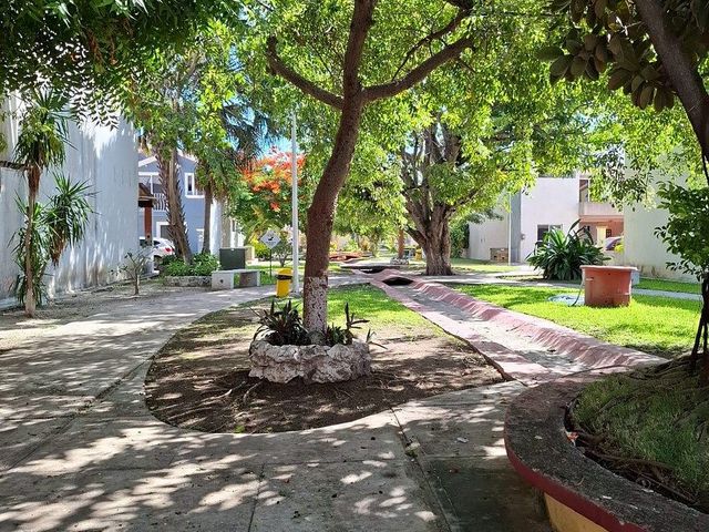 place photo 34